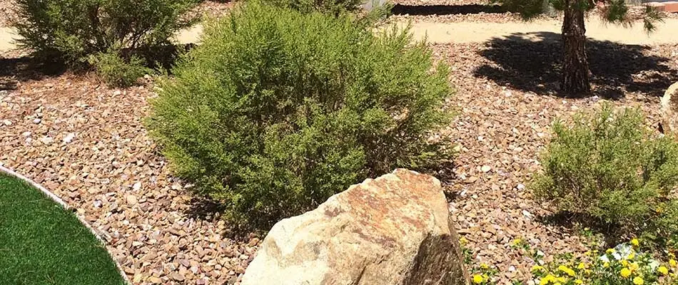 Rock mulch bed with large rocks and plantings near Fruita, CO.
