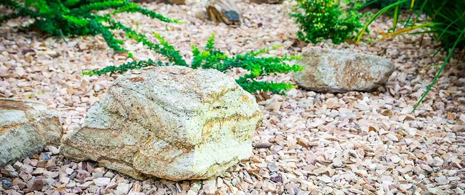 Rock mulch landscape bed with boulders and plants at a home in Clifton, CO.