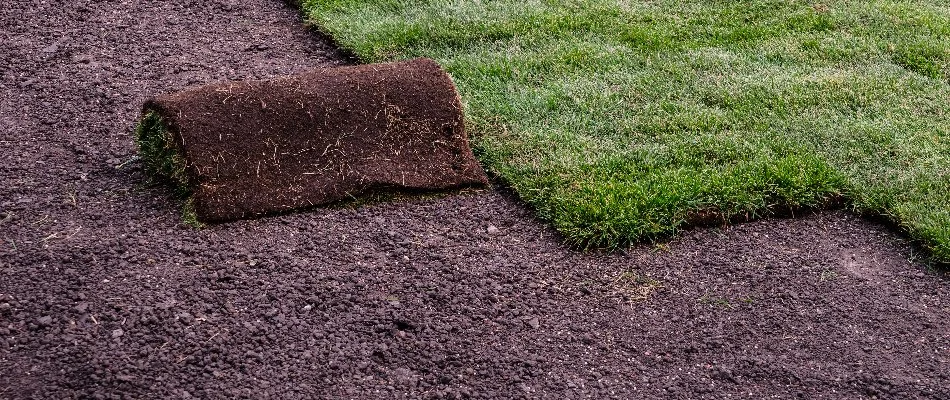 Sod on top of soil in Grand Junction, CO.