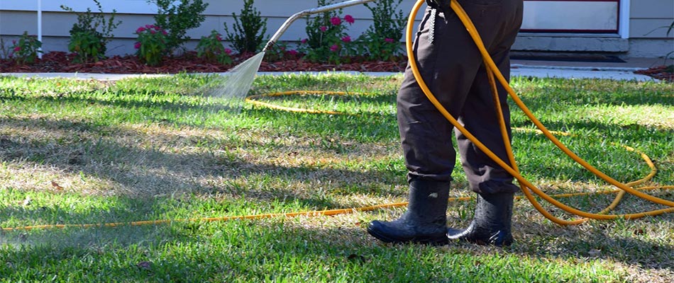 Spraying lawn for weeds with hose near Palisade, CO.