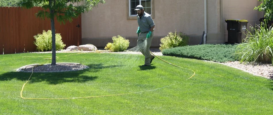 Tech spraying a liquid treatment on grass in Montrose, CO.