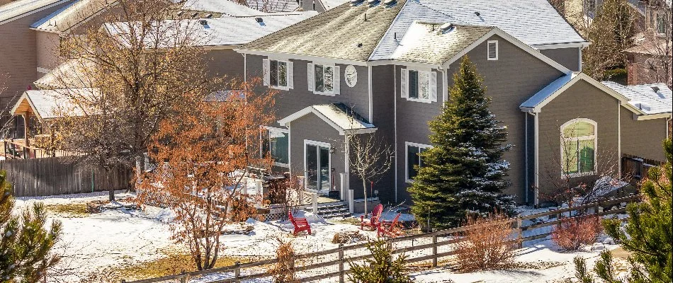 Trees in winter on a property in Grand Junction, CO.