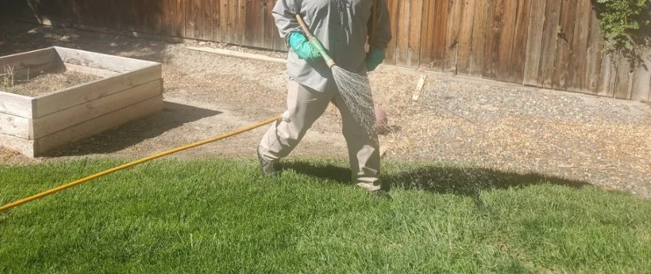 Fertilizer treatment being applied to a lawn in Grand Junction, CO.