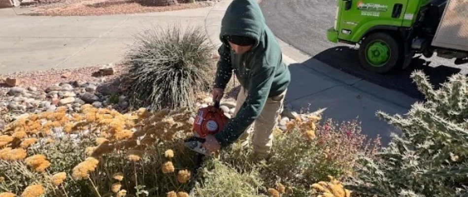 Worker in green jacket trimming plants in Grand Junction, CO.