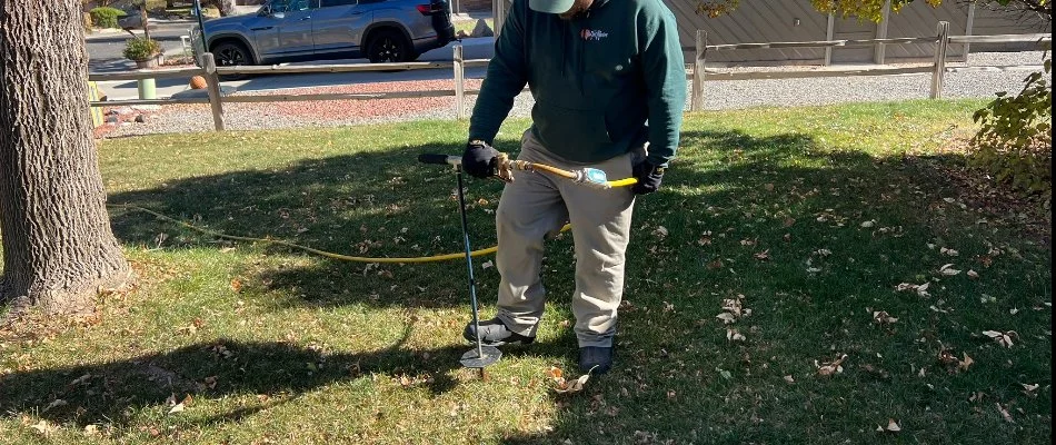 A worker in Grand Junction, CO, doing a deep root injection for a tree.